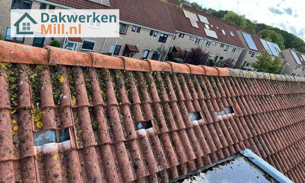 Een dakrenovatie bij oud pannendak Een dakrenovatie bij oud pannendak in Mill